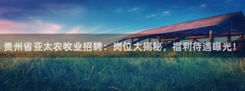 乐虎国际客户端app下载宇信科技